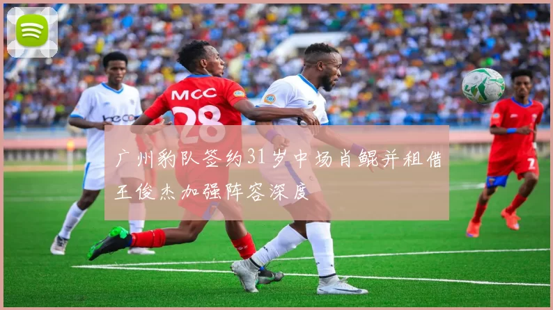 广州豹队签约31岁中场肖鲲并租借王俊杰加强阵容深度